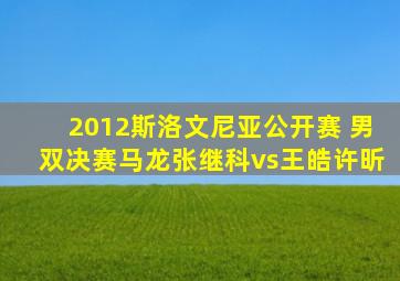 2012斯洛文尼亚公开赛 男双决赛马龙张继科vs王皓许昕